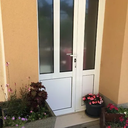 Dalia House フヴァル