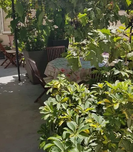 Apartment Dalia House *